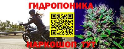 тгк Волжск
