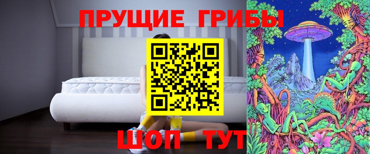 Лесосибирск  Псилоцибиновые грибы GOLDEN TEACHER  сколько стоит  Вход с VPN  Псилоцибиновые грибы мухоморы 
